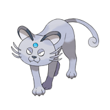 猫老大