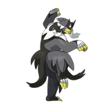 武道熊师