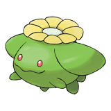 毽子花