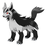 大狼犬
