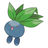 走路草