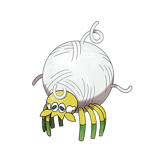 团珠蛛
